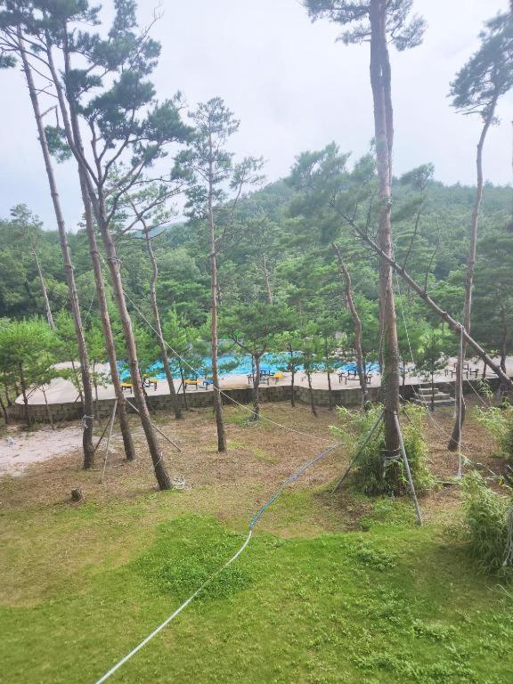 Sokcho Daemyung Heidi Pension Buitenkant foto